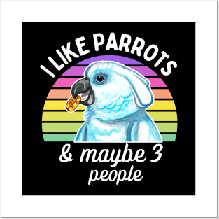 I Like Cockatoo Parrots and Maybe 3 People Posters and Art